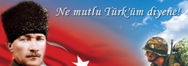 Türklük Şiiri Hakkında