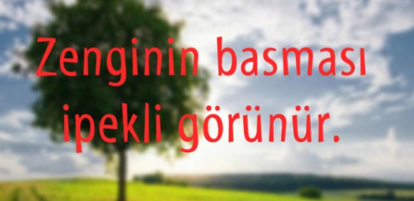 Zenginin Basması İpekli Görünür