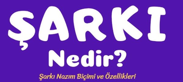 Şarkı Nedir?