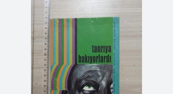 Tanrıya Bakıyorlardı Özeti