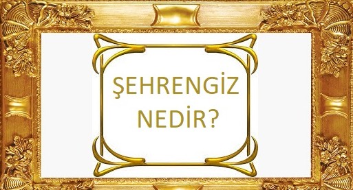 Şehrengiz Nedir?